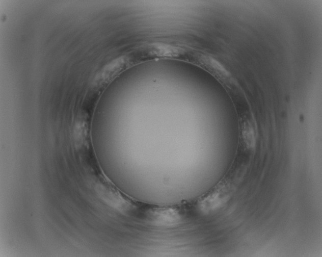 X0000064040322200601271208