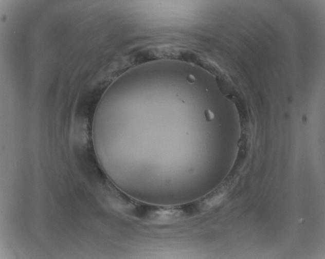 X0000064040323200601271208