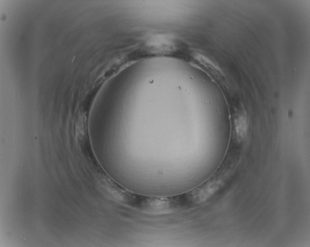 X0000064040325200601271208