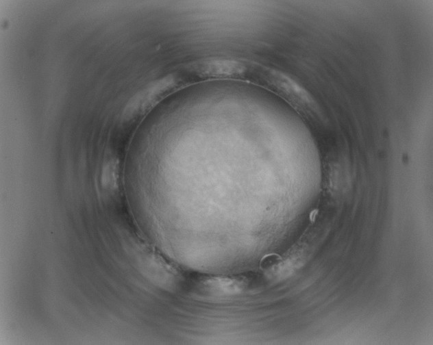 X0000064040326200601271208