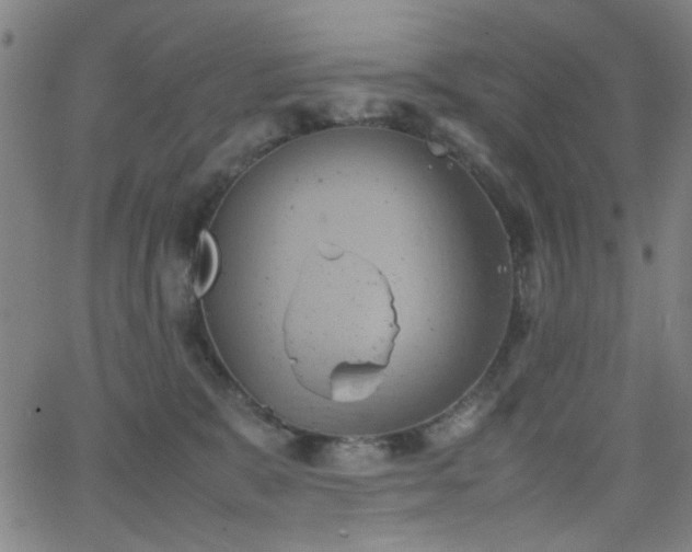 X0000064040327200601271208