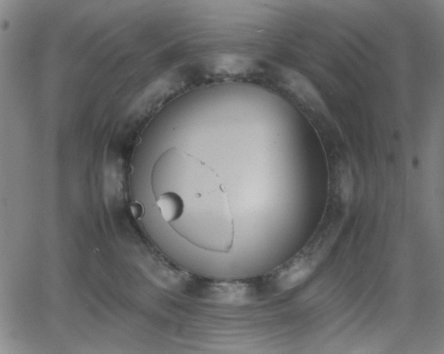 X0000064040328200601271208