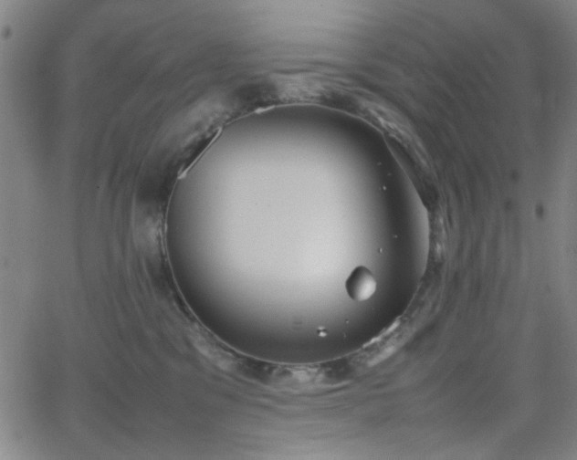 X0000064040329200601271208