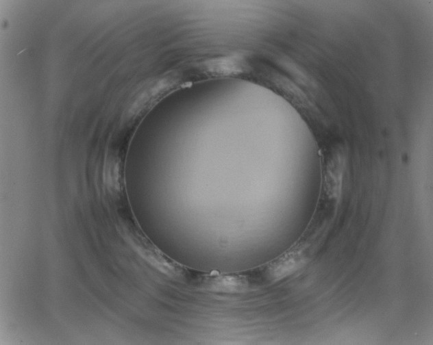 X0000064040330200601271208