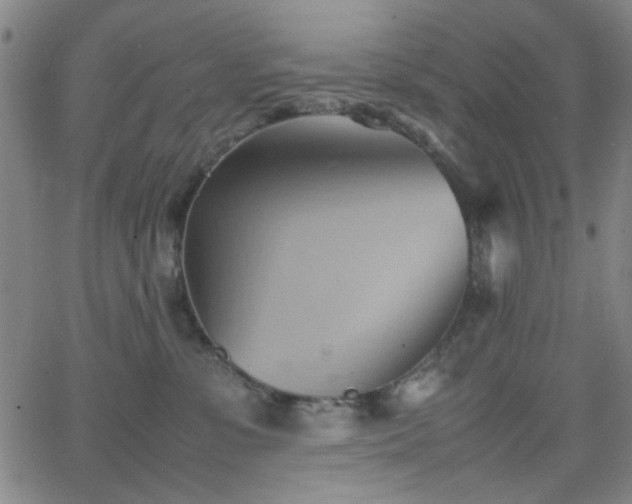 X0000064040331200601271208