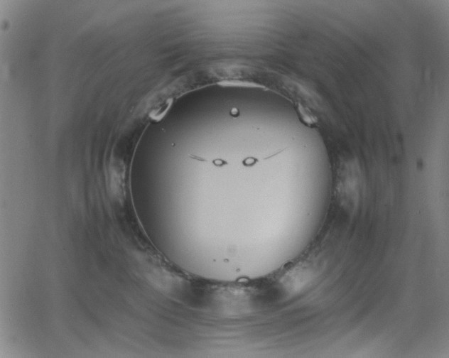 X0000064040332200601271208