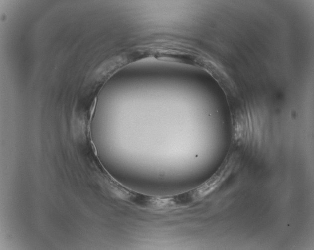 X0000064040333200601271208