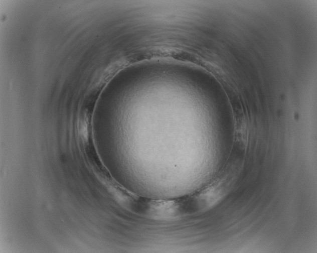 X0000064040334200601271208