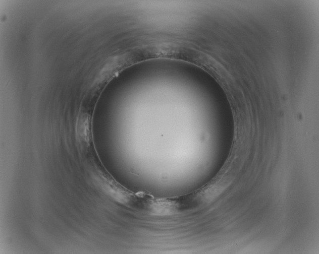 X0000064040336200601271208