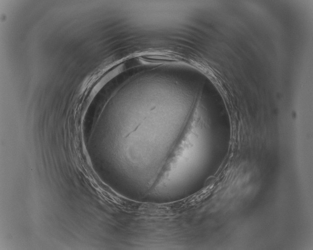 X0000064040337200601271207