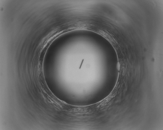 X0000064040338200601271207