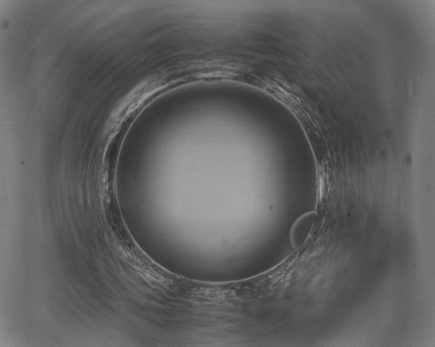 X0000064040339200601271207