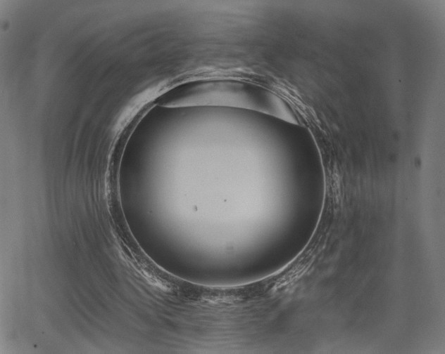 X0000064040340200601271207