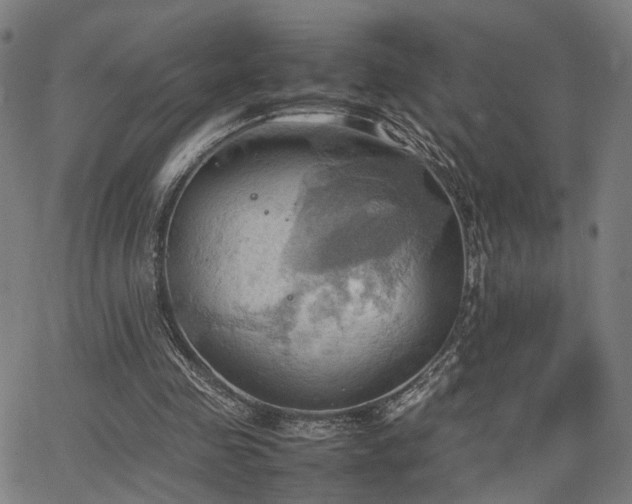 X0000064040341200601271207