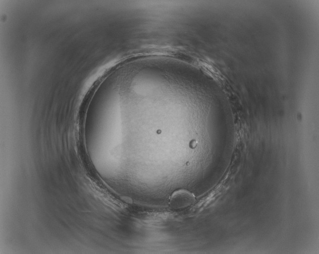 X0000064040342200601271207