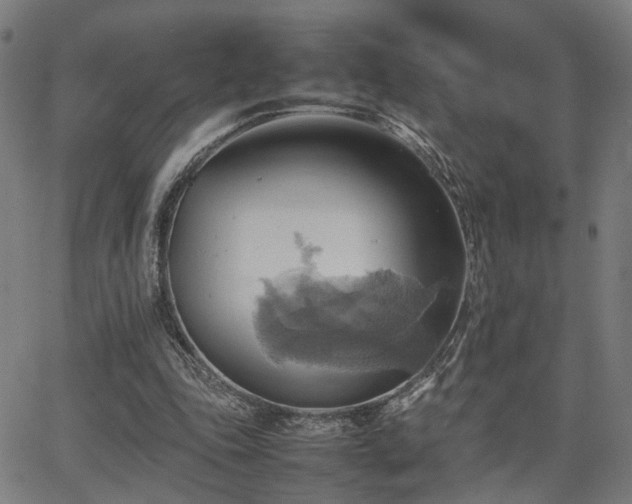 X0000064040343200601271207