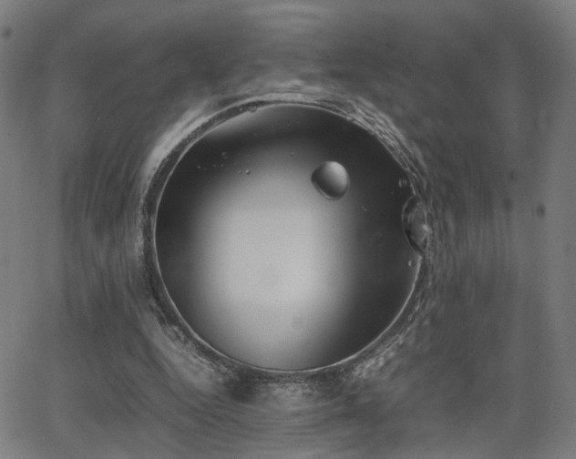 X0000064040344200601271207