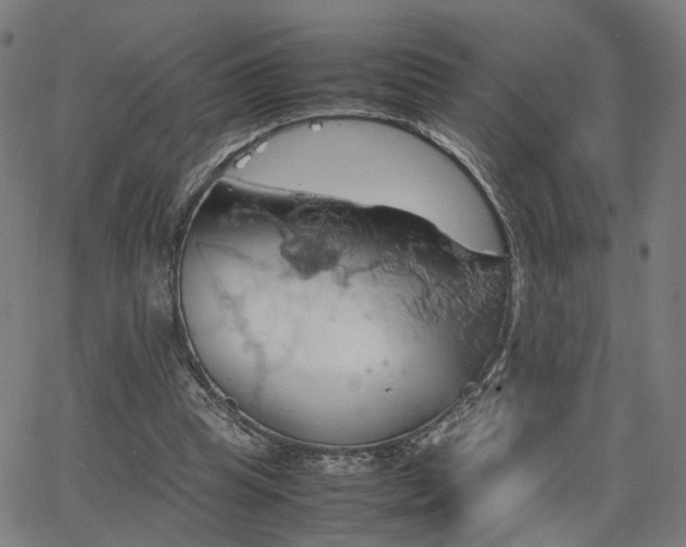 X0000064040345200601271207