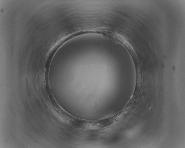 X0000064040346200601271208