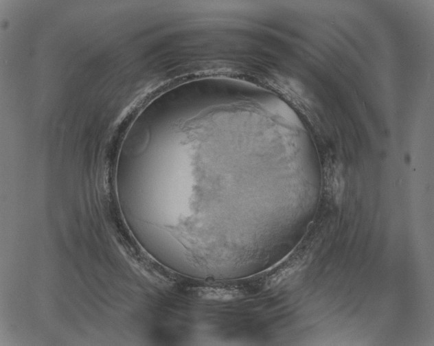 X0000064040347200601271208