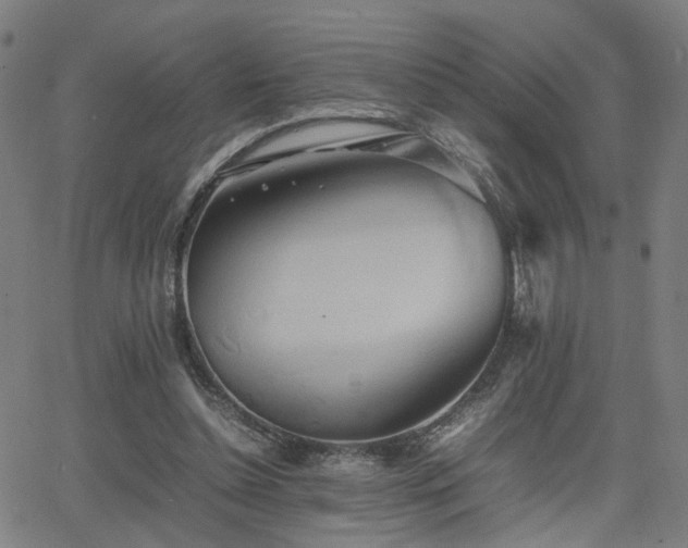 X0000064040348200601271208