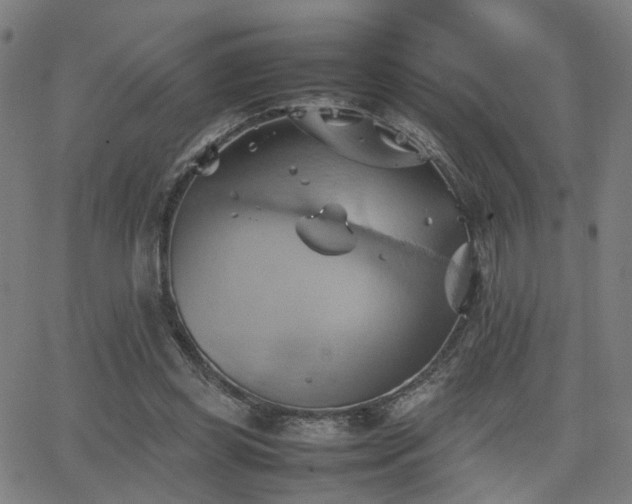 X0000064040349200601271208