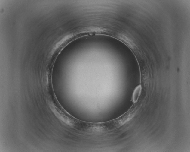 X0000064040350200601271208