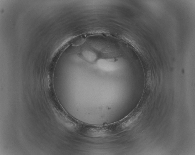 X0000064040351200601271208