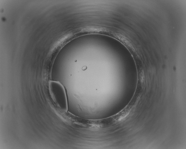 X0000064040352200601271208