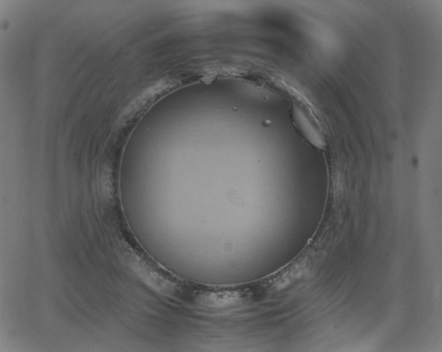 X0000064040353200601271208