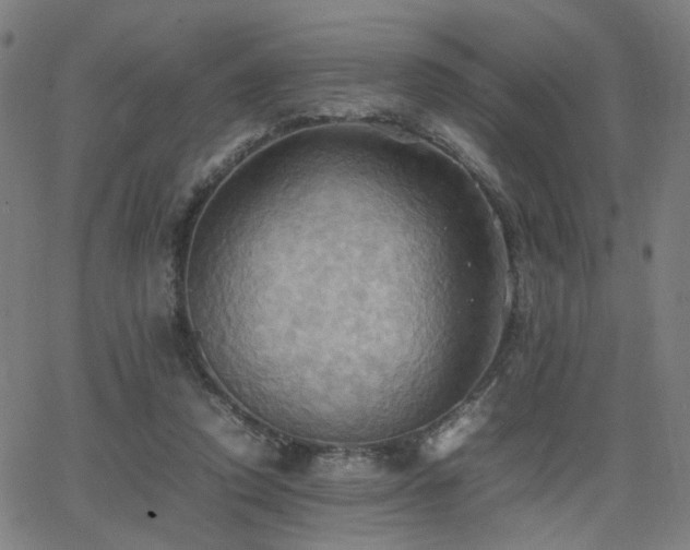 X0000064040354200601271208