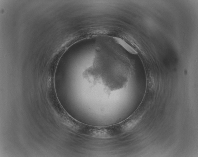 X0000064040355200601271208