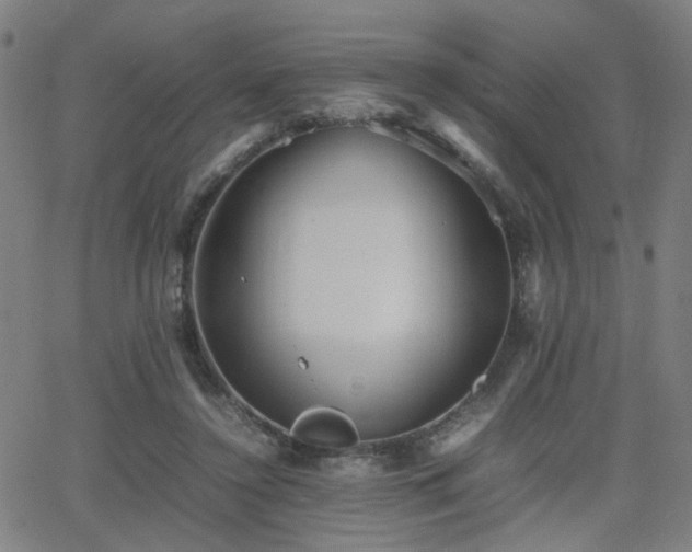 X0000064040356200601271208