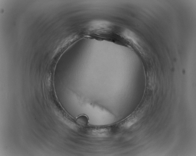 X0000064040357200601271208