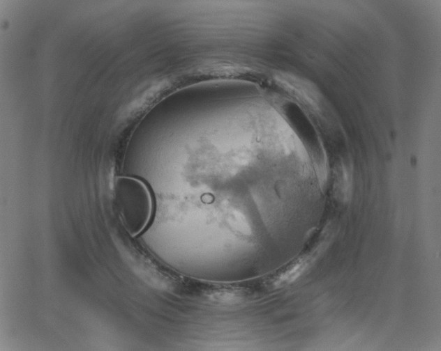 X0000064040358200601271208