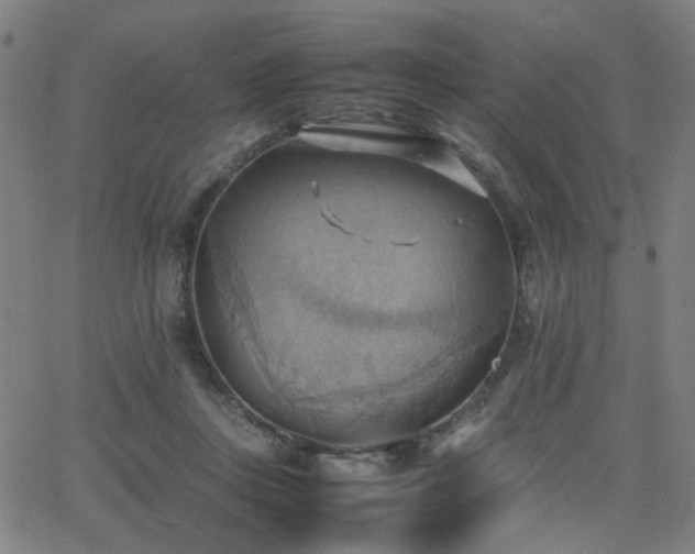 X0000064040359200601271208