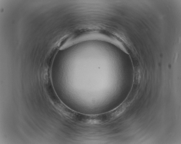 X0000064040360200601271208