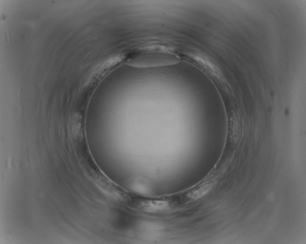 X0000064040361200601271208