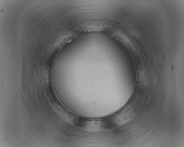 X0000064040362200601271208