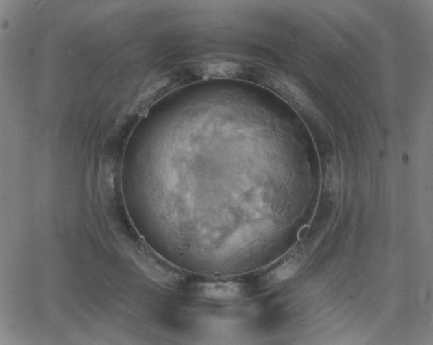 X0000064040363200601271208