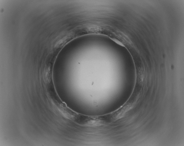 X0000064040364200601271208