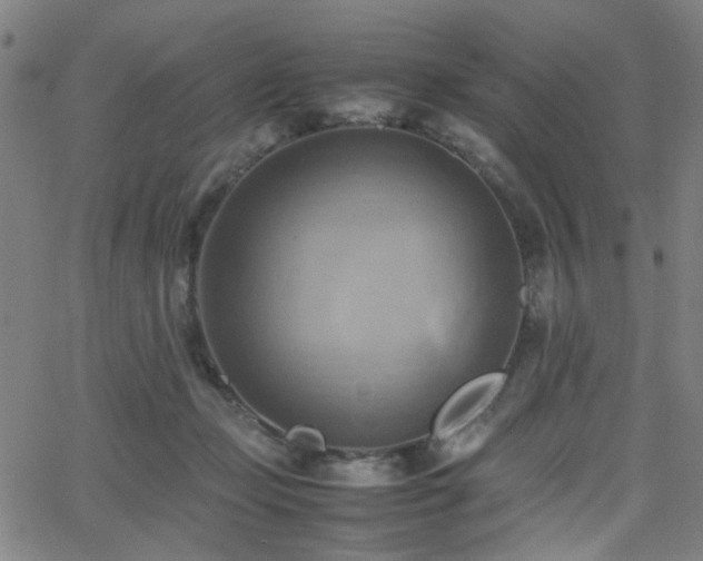 X0000064040365200601271208