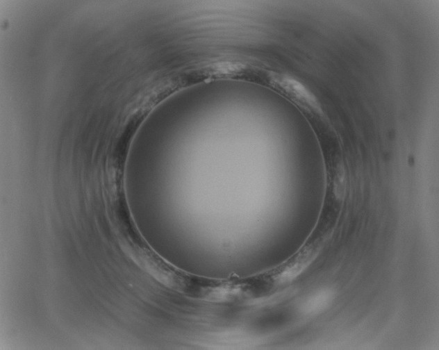 X0000064040366200601271208