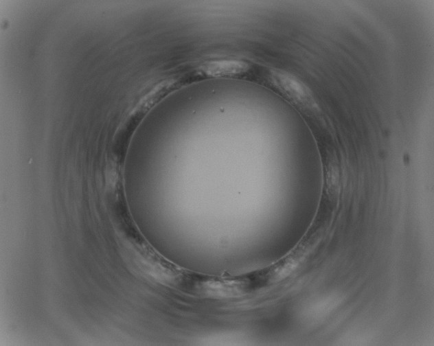 X0000064040367200601271208