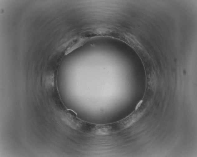 X0000064040368200601271208