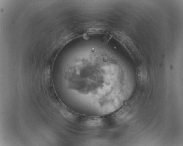 X0000064040369200601271208