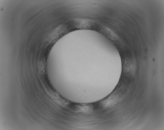 X0000064040370200601271208