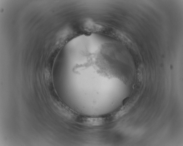 X0000064040371200601271208