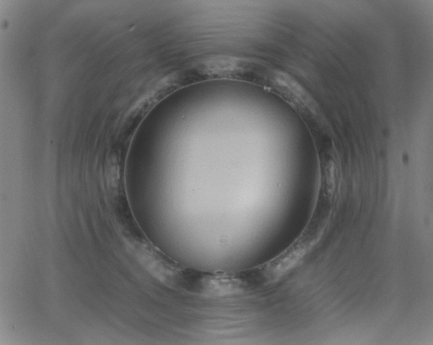 X0000064040372200601271208