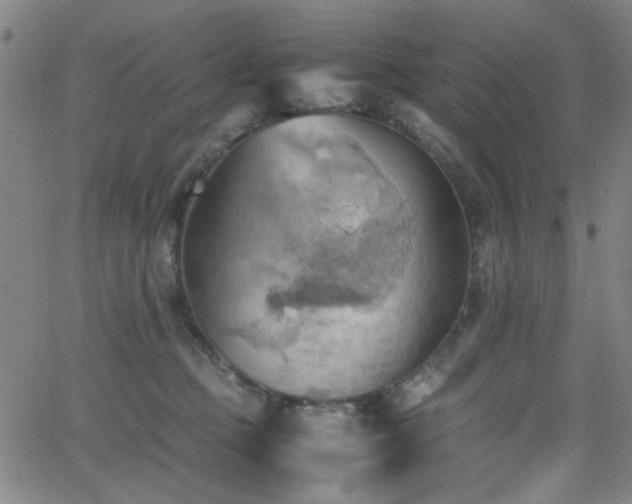 X0000064040373200601271208